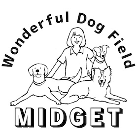 ワンダフル ドッグフィールドMIDGET｜犬のしつけ 神奈川県寒川｜Being S Dogs